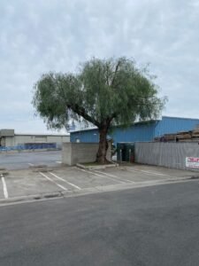 tree trimmer in modes ca