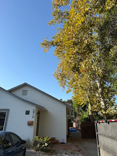 Photo from customer review