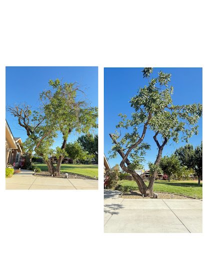 Photo from customer review