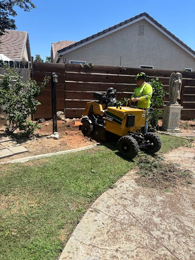 Photo from customer review