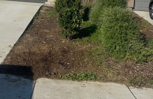 Photo from customer review