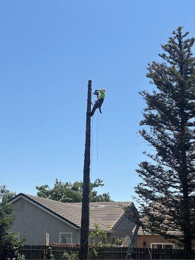 Photo from customer review