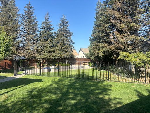 Photo from customer review