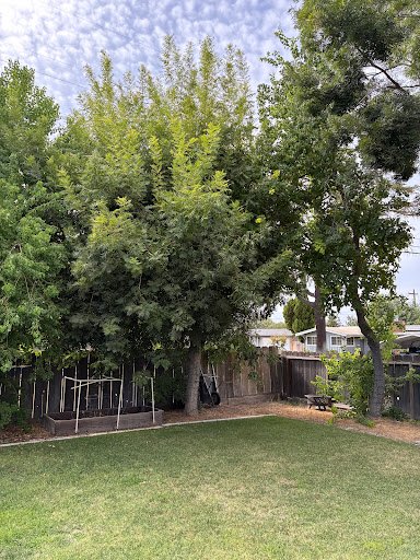 Photo from customer review