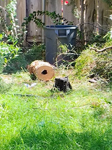 Photo from customer review