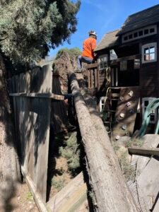 hdz working crew