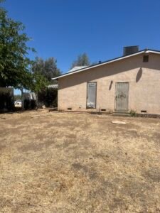 HDZ Tree Service crew removal
