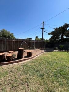 Tree removal after service in Merced CA