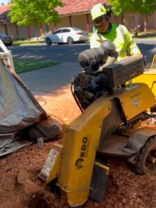 Stump Grinding working in Merced County