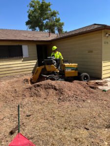 stump grinding in Merced County