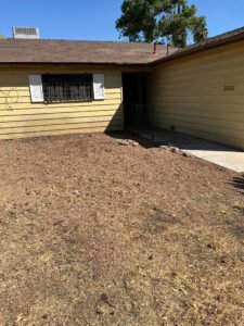 stump grinding remove