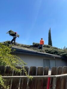 HDZ Tree Service crew working