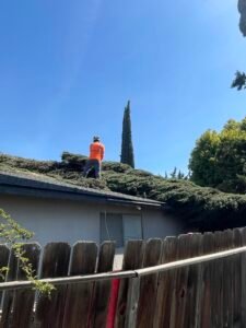 HDZ Tree Service crew working in Merced County