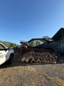 Cut and stacked logs from tree removal in La Grange CA